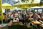 Musikfest in Freckenfeld